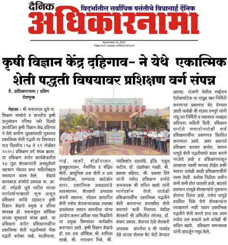 588081590 4191026997817331 7049315014622249708 n